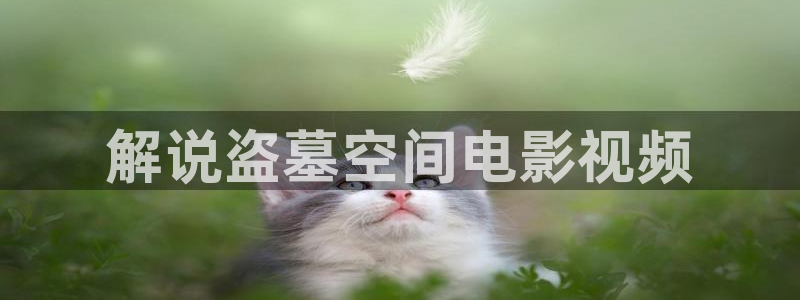 秋霞电影 网